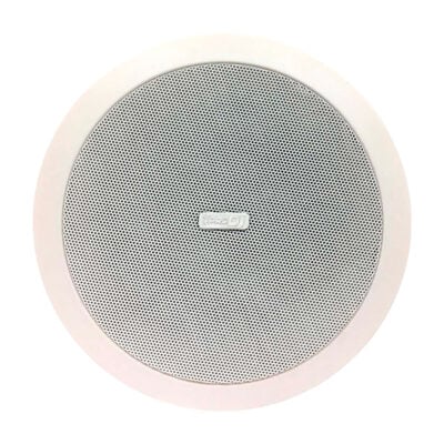 Parlante Ambiental CS60T PRO DJ
