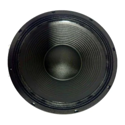 Parlante B&L BL-18TBX100 3000w